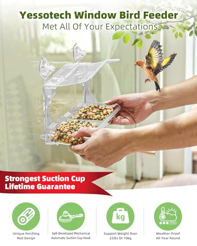 Strong Suction Cup Bird Feeders for Outdoor Viewing