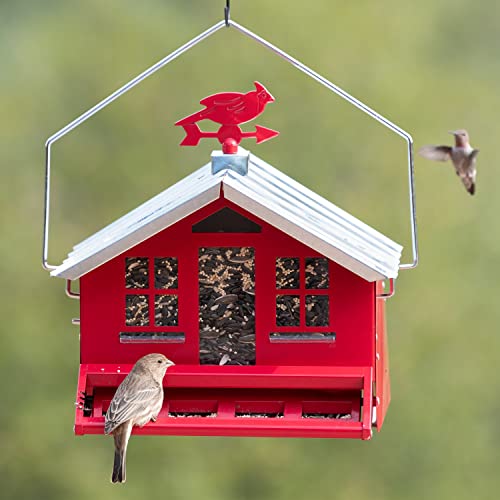 Red Country House Bird Feeder for Squirrel Control - 8 lb