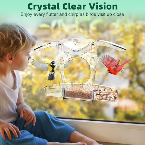 Strong Suction Cup Clear Window Bird Feeder - Easy to Clean