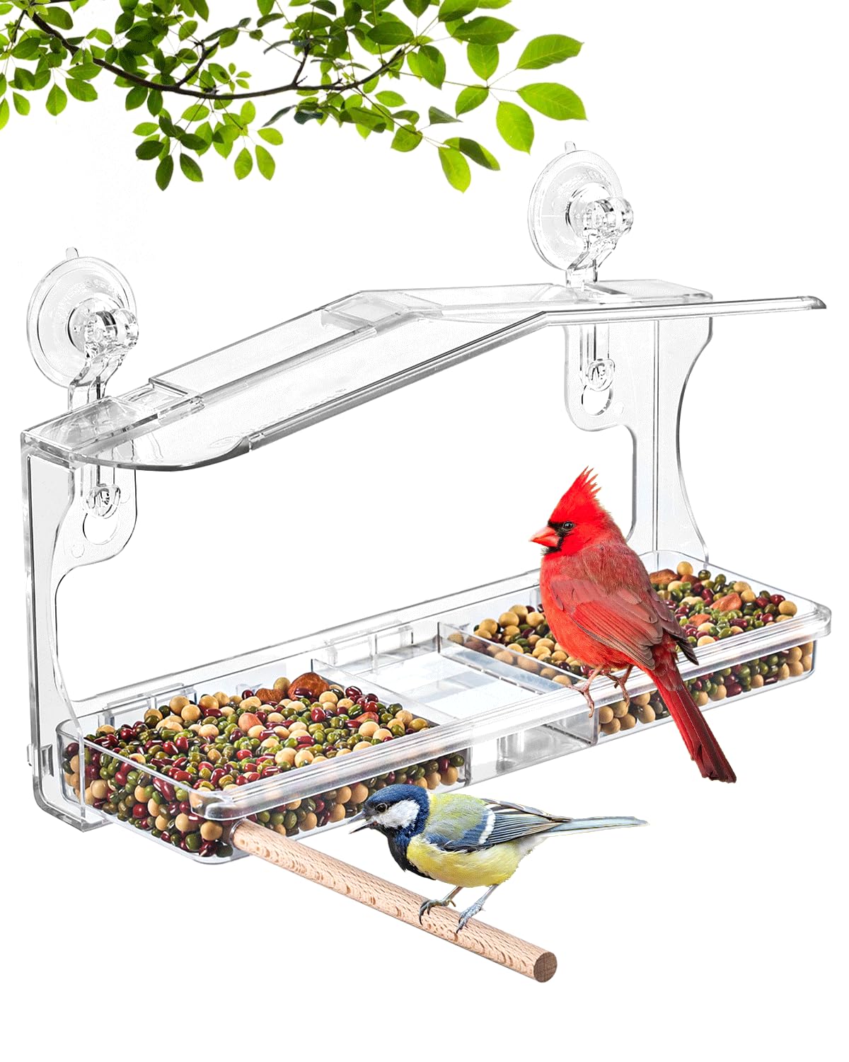 Strong Suction Cup Bird Feeders for Outdoor Viewing