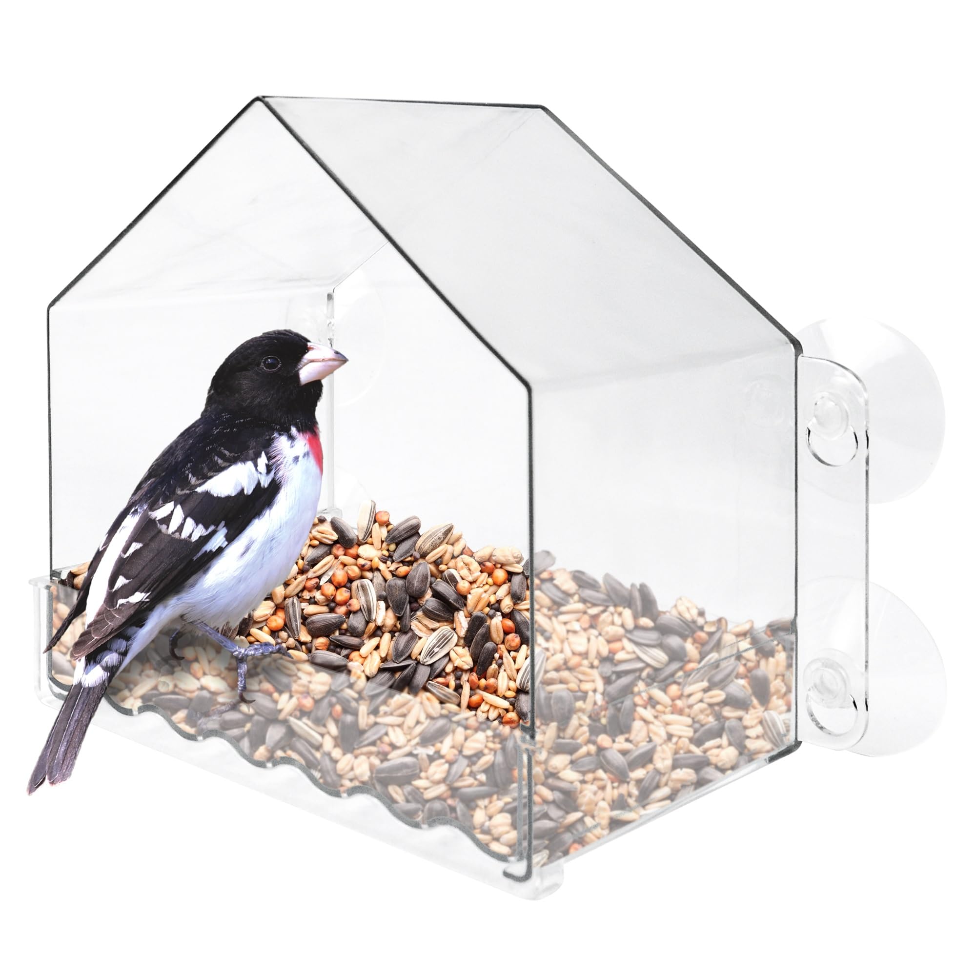 Nature's Way Win-3 Clear View Bird Feeder, 2 Cup Capacity, Suction Cups