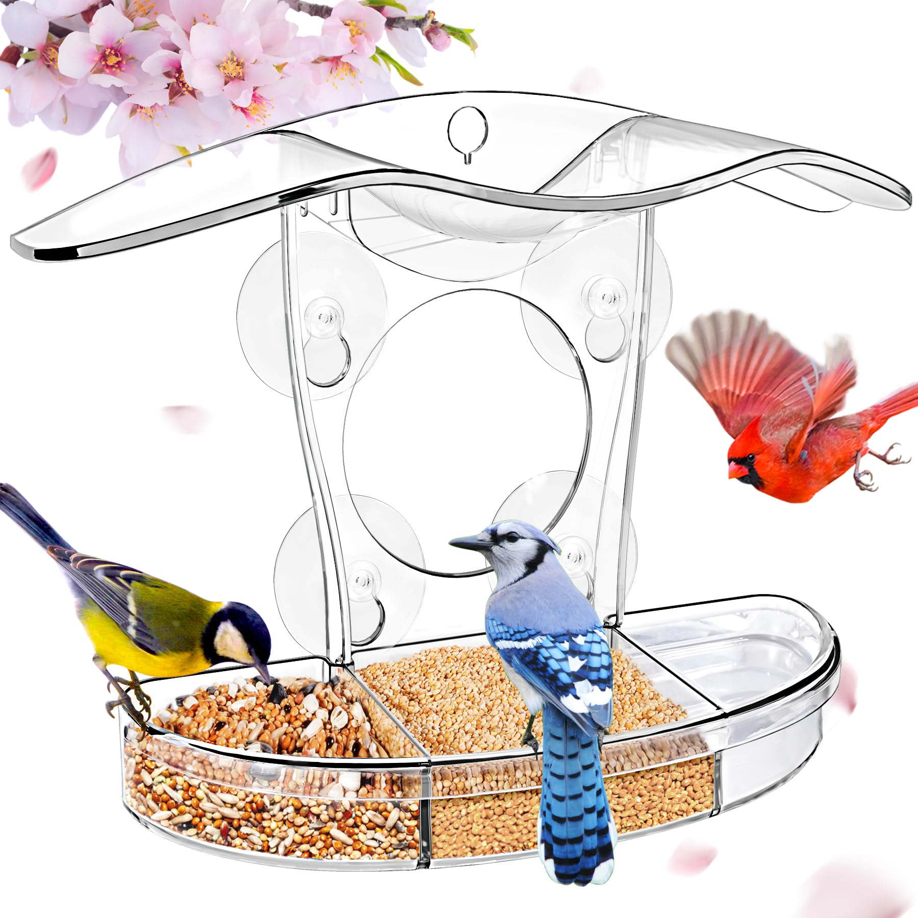 Strong Suction Cup Clear Window Bird Feeder - Easy to Clean